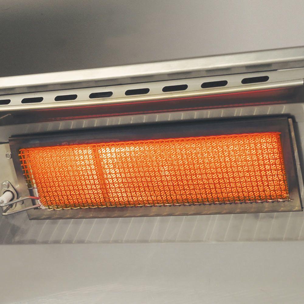 American Outdoor Grill L-Series 24-Inch Built-In Gas Grill (AOG-24NBL)