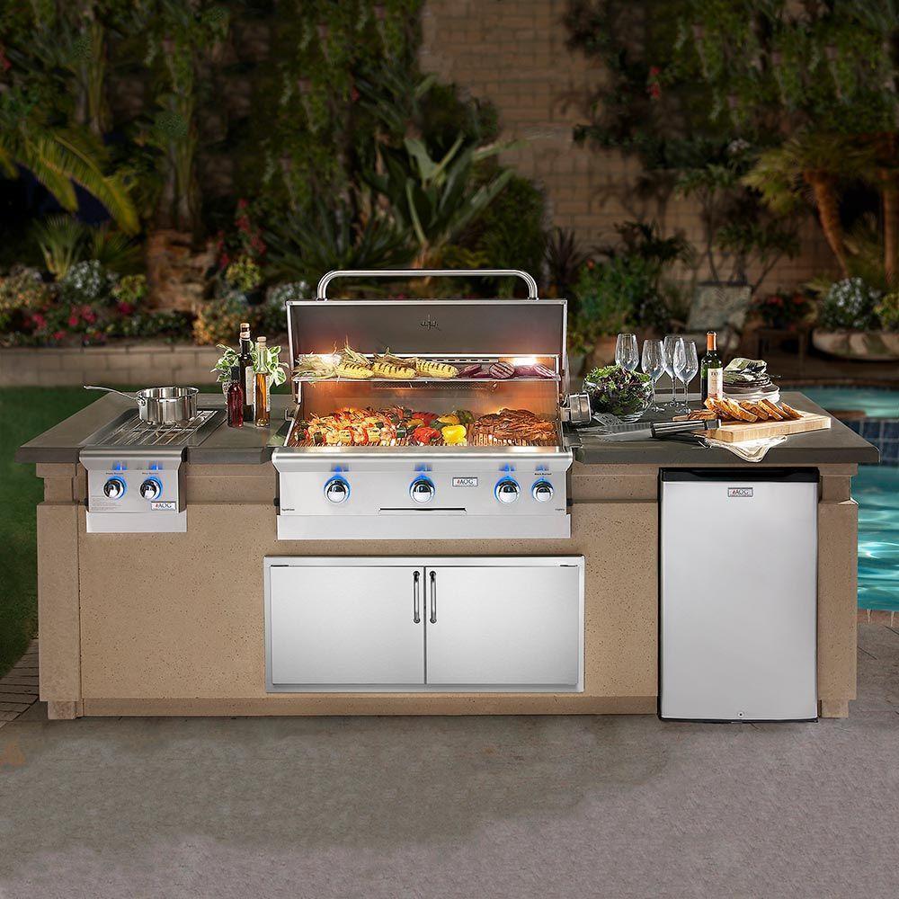 American Outdoor Grill T-Series 24-Inch Built-In Gas Grill (AOG-24NBT)