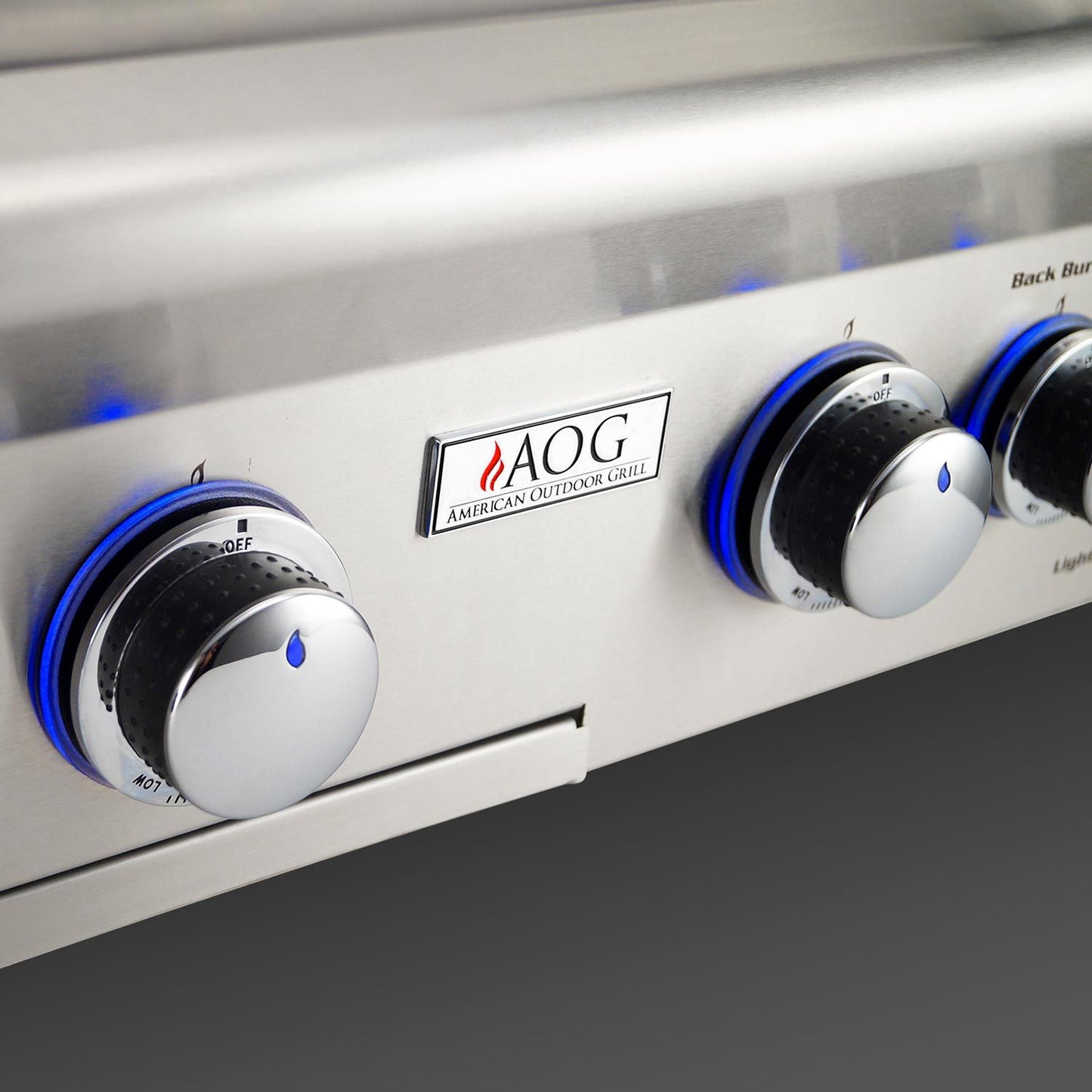 American Outdoor Grill L-Series 24-Inch Built-In Gas Grill (AOG-24NBL)