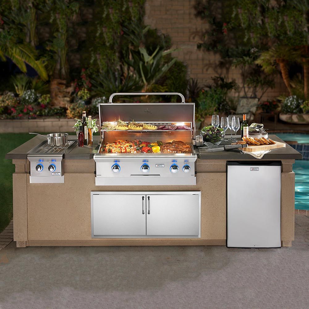 American Outdoor Grill L-Series 30-Inch Built-In Gas Grill (AOG-30NBL)