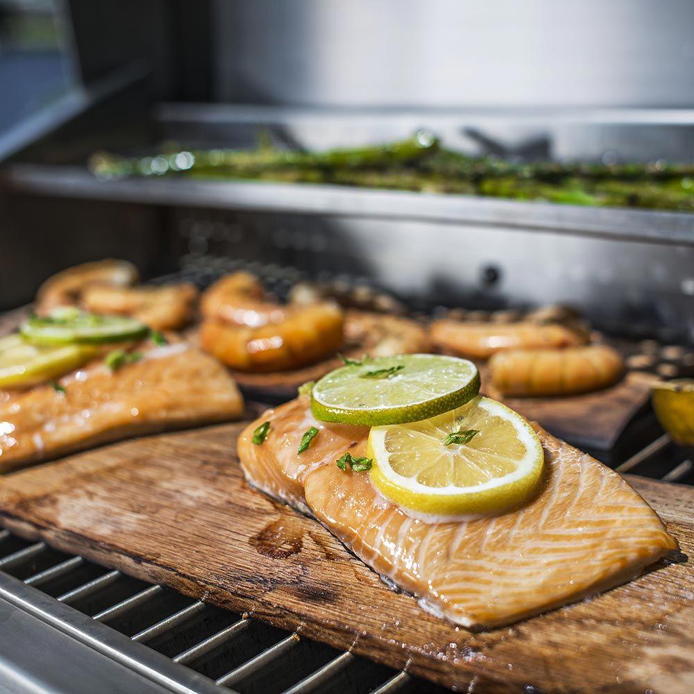 TEC Patio 1FR 26-Inch Built-In Infrared Gas Grill